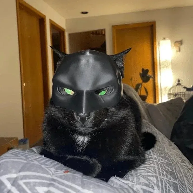 3D Printing Foto - Masque de chat imprimé en 3D,
