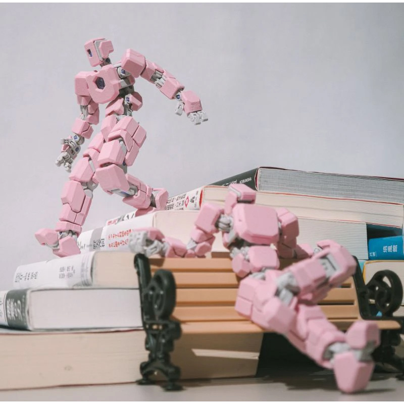 Figurines robotiques articulée - 3D Printing For Dummies avis et prix