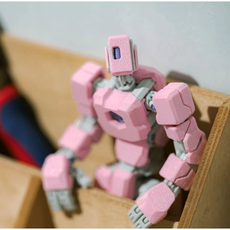 Figurines robotiques articulée - 3D Printing For Dummies avis et prix