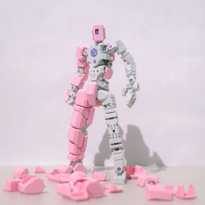 Figurines robotiques articulée - 3D Printing For Dummies avis et prix